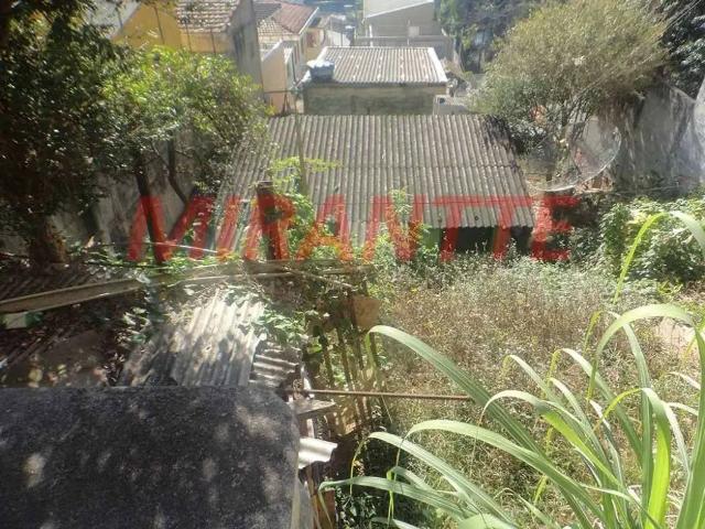 Terreno / Lote para Venda em São Paulo/SP Tucuruvi