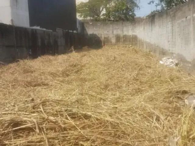 Terreno / Lote para Venda em São Paulo/SP Vila Mafra