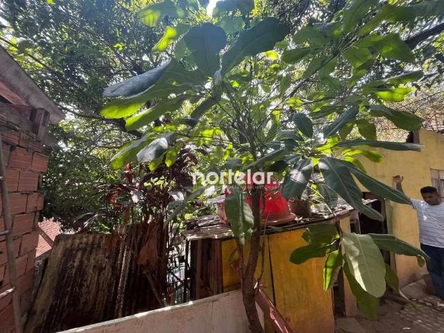 Terreno / Lote para Venda em São Paulo/SP Vila Mangalot