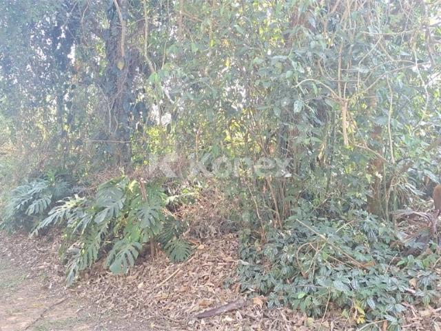 Terreno / Lote para Venda em São Paulo/SP Vila Mangalot