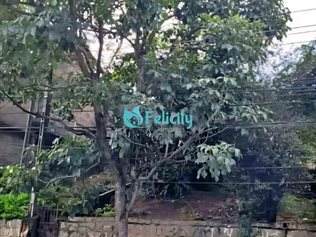Terreno / Lote para Venda em São Paulo/SP Vila Mangalot