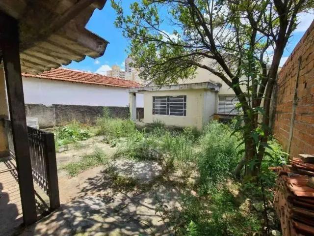 Terreno / Lote para Venda em São Paulo/SP Vila Mangalot