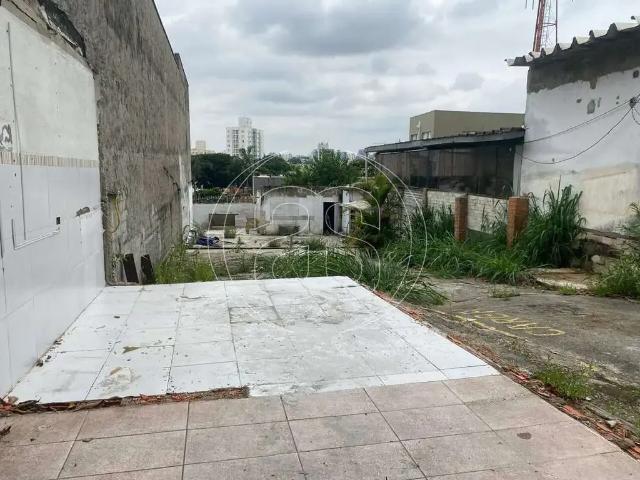 Terreno / Lote para Venda em São Paulo/SP Vila Mascote
