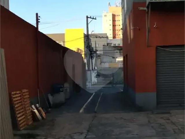 Terreno / Lote para Venda em São Paulo/SP Vila Mascote