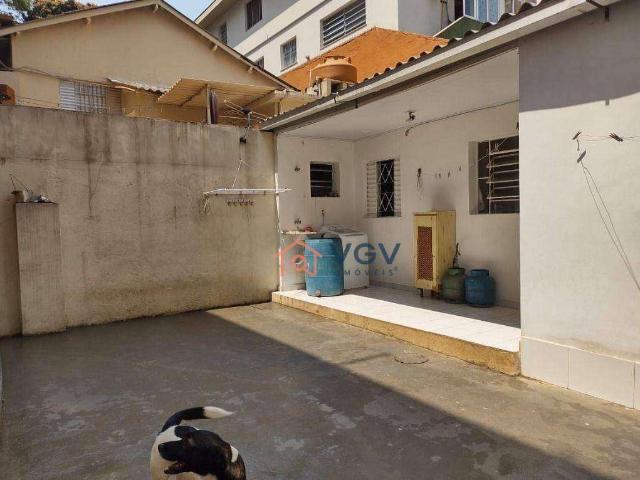 Terreno / Lote para Venda em São Paulo/SP Vila Mascote