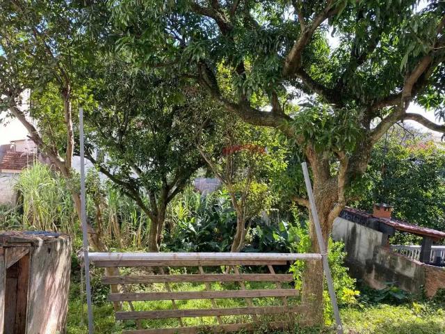 Terreno / Lote para Venda em São Paulo/SP Vila Mariza Mazzei