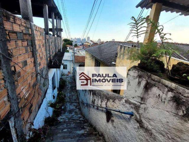Terreno / Lote para Venda em São Paulo/SP Vila Maria Alta