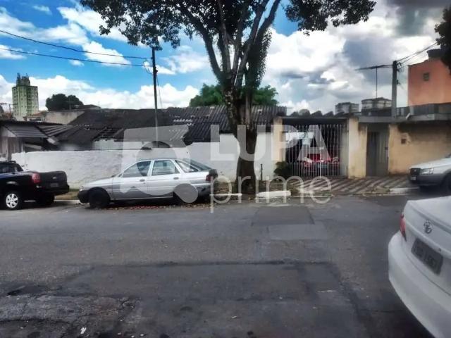 Terreno / Lote para Venda em São Paulo/SP Vila Maria Alta