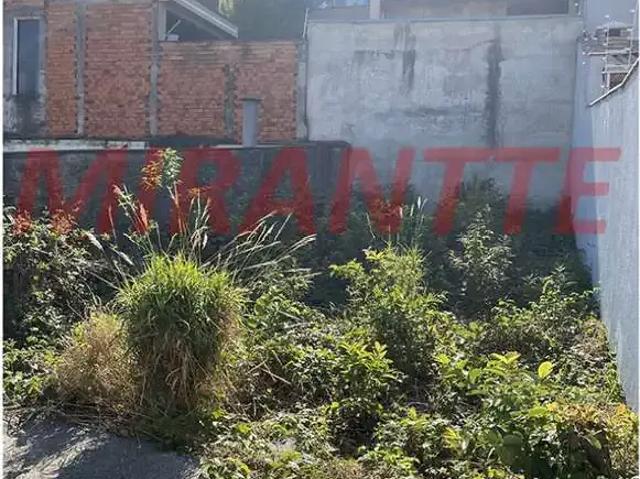Terreno / Lote para Venda em São Paulo/SP Vila Maria Alta