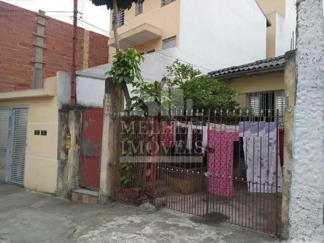 Terreno / Lote para Venda em São Paulo/SP Vila Maria Alta