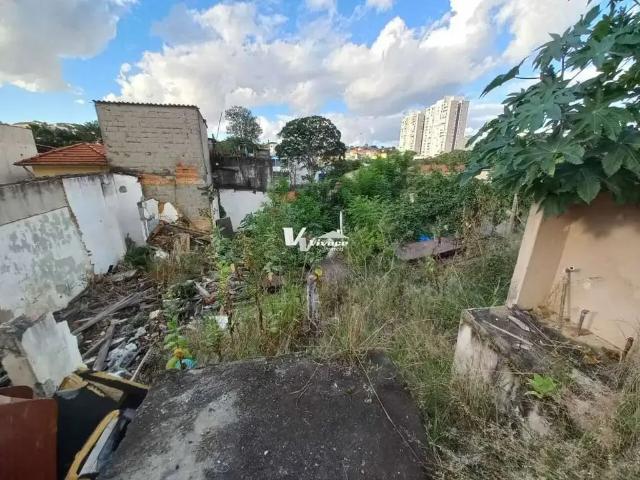 Terreno / Lote para Venda em São Paulo/SP Vila Maria Alta