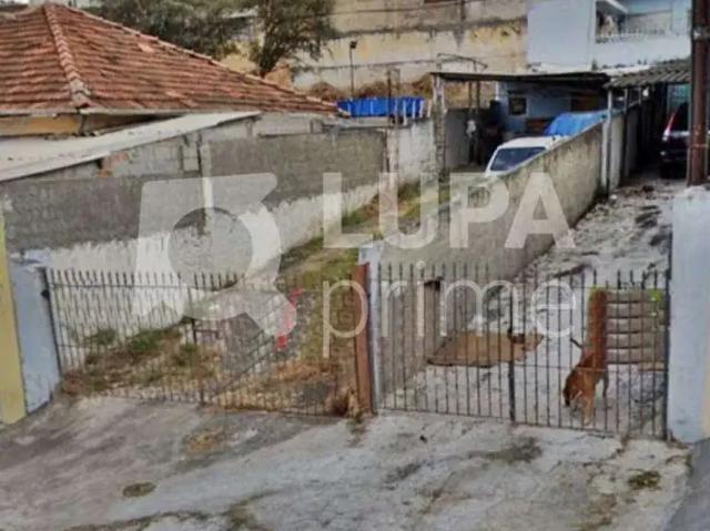Terreno / Lote para Venda em São Paulo/SP Vila Maria Alta