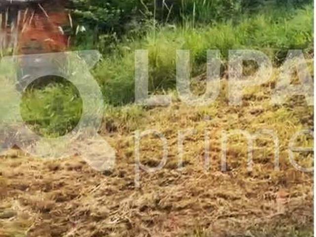Terreno / Lote para Venda em São Paulo/SP Vila Maria Alta