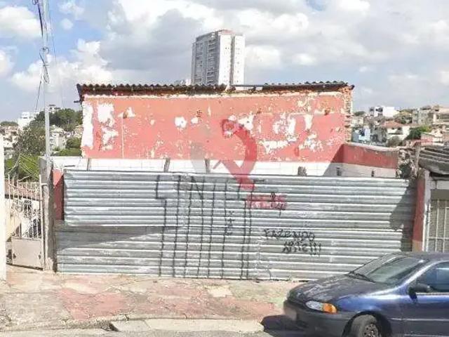 Terreno / Lote para Venda em São Paulo/SP Vila Maria Alta