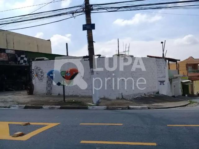 Terreno / Lote para Venda em São Paulo/SP Vila Maria Alta