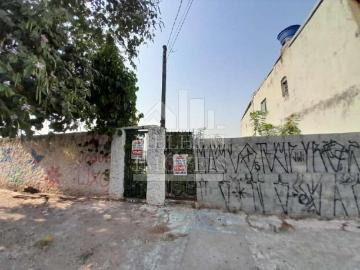Terreno / Lote para Venda em São Paulo/SP Vila Maria Alta