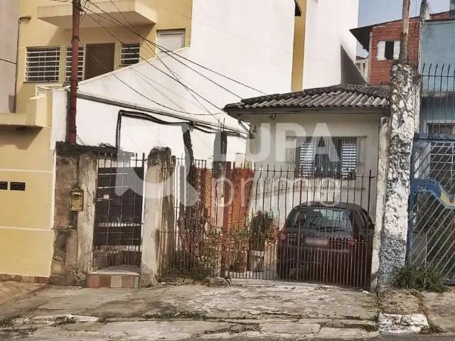 Terreno / Lote para Venda em São Paulo/SP Vila Maria Alta