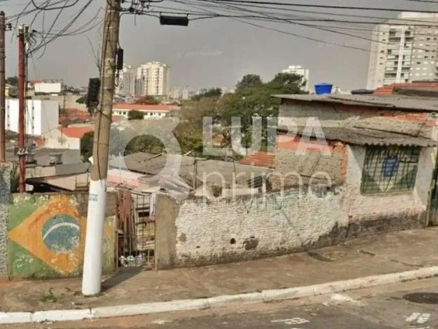 Terreno / Lote para Venda em São Paulo/SP Vila Maria Alta