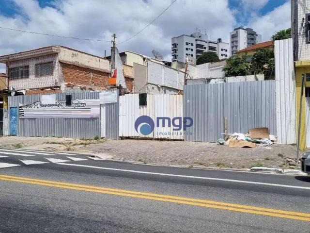 Terreno / Lote para Venda em São Paulo/SP Vila Maria