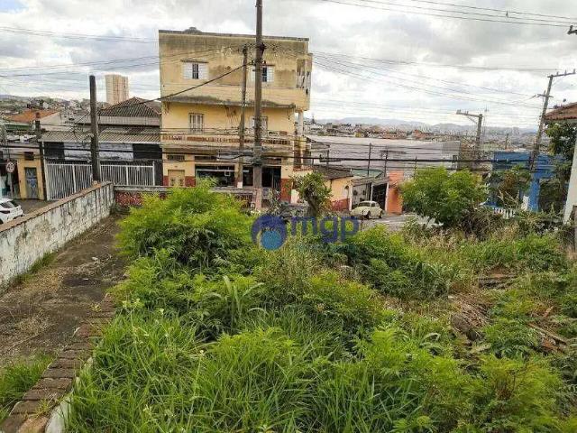 Terreno / Lote para Venda em São Paulo/SP Vila Maria