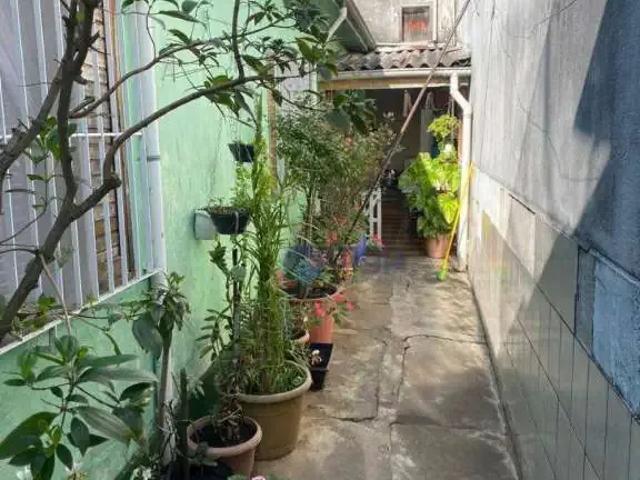 Terreno / Lote para Venda em São Paulo/SP Vila Maria
