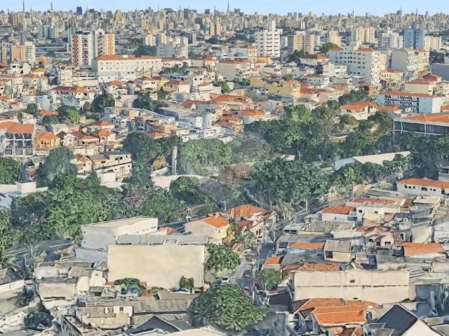Terreno / Lote para Venda em São Paulo/SP Vila Maria