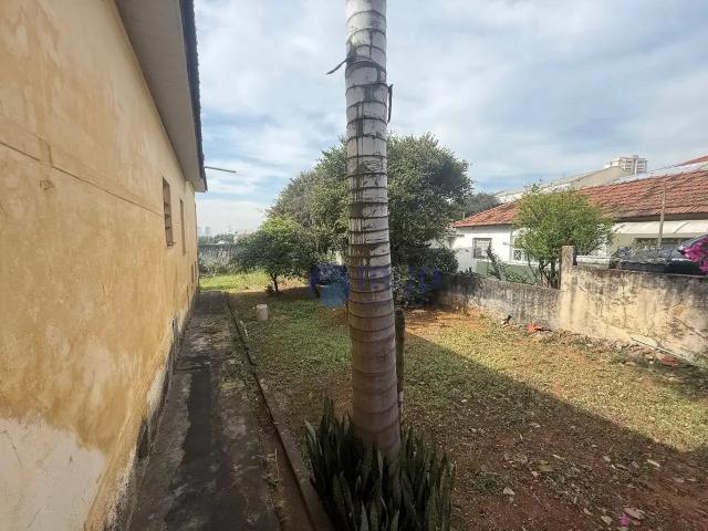 Terreno / Lote para Venda em São Paulo/SP Vila Maria