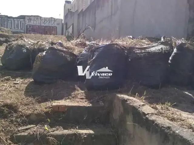 Terreno / Lote para Venda em São Paulo/SP Vila Maria