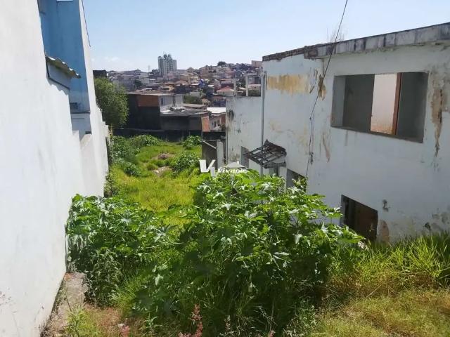 Terreno / Lote para Venda em São Paulo/SP Vila Maria
