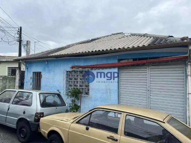 Terreno / Lote para Venda em São Paulo/SP Vila Maria
