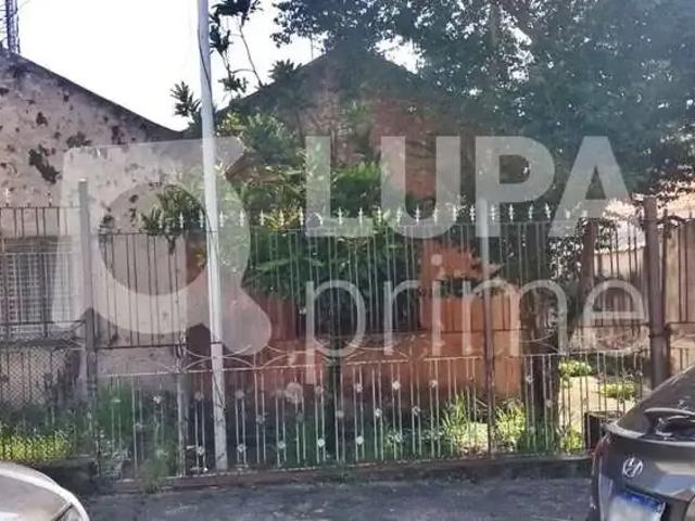 Terreno / Lote para Venda em São Paulo/SP Vila Maria