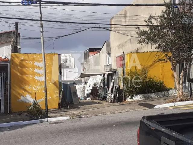 Terreno / Lote para Venda em São Paulo/SP Vila Maria