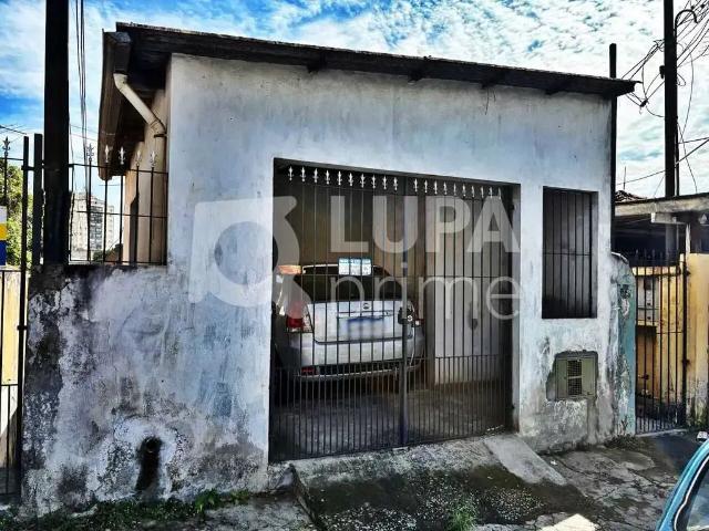 Terreno / Lote para Venda em São Paulo/SP Vila Maria