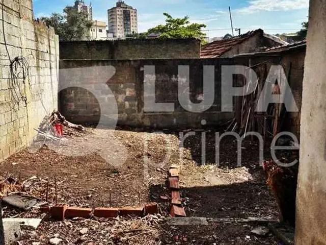 Terreno / Lote para Venda em São Paulo/SP Vila Maria