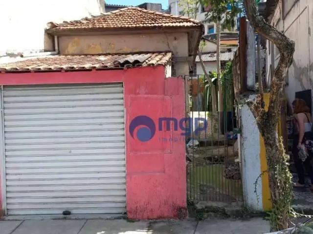 Terreno / Lote para Venda em São Paulo/SP Vila Maria