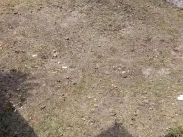Terreno / Lote para Venda em São Paulo/SP Vila Mariana
