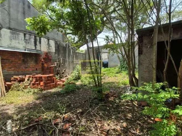 Terreno / Lote para Venda em São Paulo/SP Vila Mariana