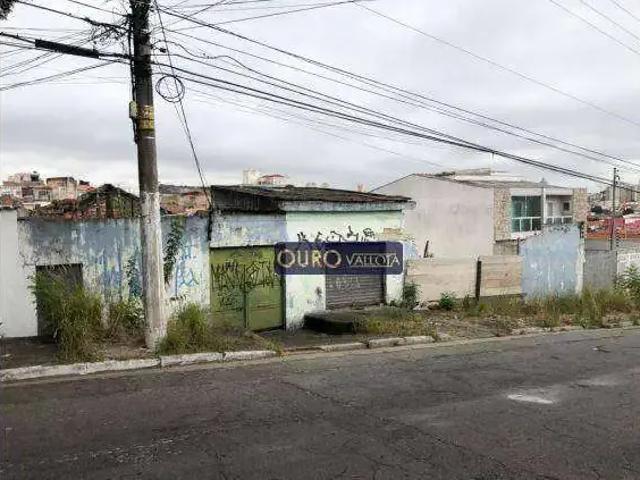 Terreno / Lote para Venda em São Paulo/SP Vila Marieta