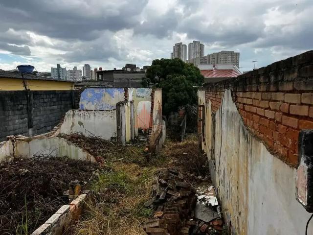 Terreno / Lote para Venda em São Paulo/SP Vila Marieta