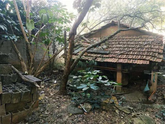 Terreno / Lote para Venda em São Paulo/SP Vila Matilde