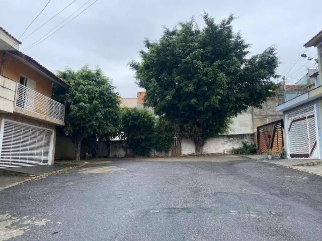 Terreno / Lote para Venda em São Paulo/SP Vila Matilde