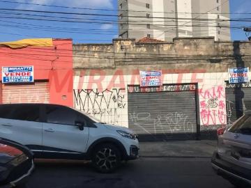 Terreno / Lote para Venda em São Paulo/SP Vila Matilde