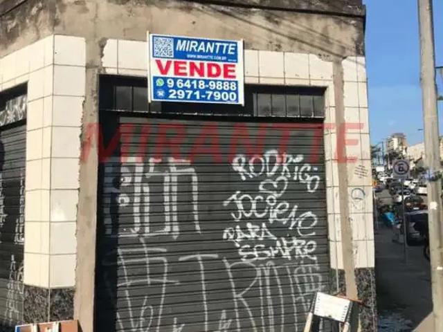 Terreno / Lote para Venda em São Paulo/SP Vila Matilde