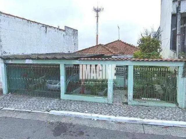Terreno / Lote para Venda em São Paulo/SP Vila Matilde