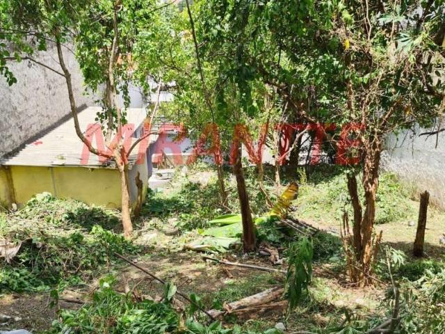 Terreno / Lote para Venda em São Paulo/SP Vila Mazzei