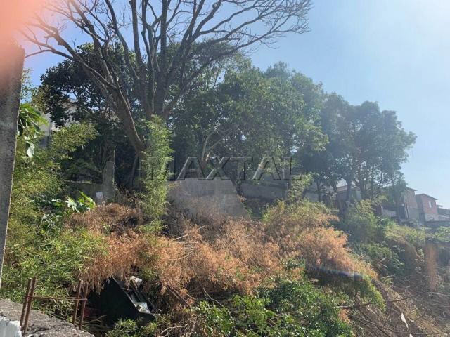Terreno / Lote para Venda em São Paulo/SP Vila Mazzei