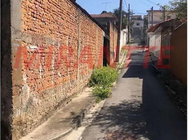 Terreno / Lote para Venda em São Paulo/SP Vila Mazzei
