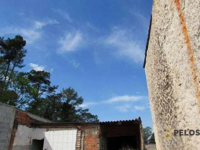 Terreno / Lote para Venda em São Paulo/SP Vila Mazzei