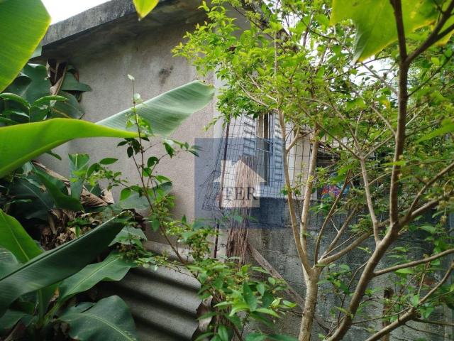 Terreno / Lote para Venda em São Paulo/SP Vila Mazzei