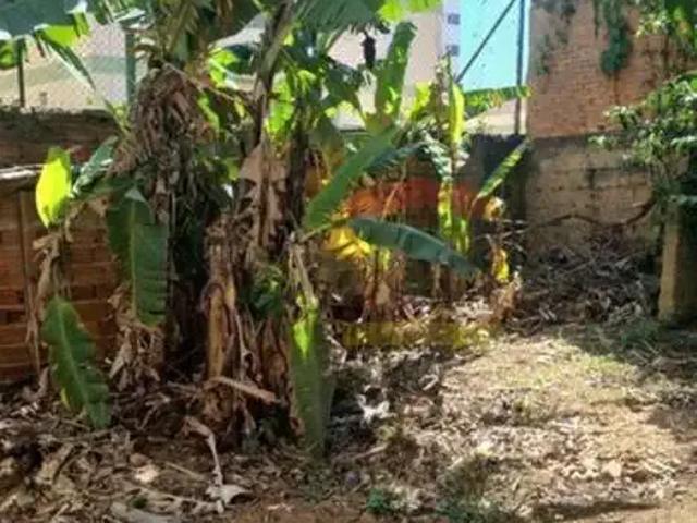 Terreno / Lote para Venda em São Paulo/SP Vila Mazzei